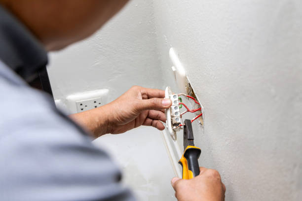 Best Local Electrician Companies  in Woodland Park, CO
