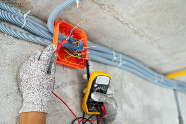 Best Electric Panel Repair  in Woodland Park, CO